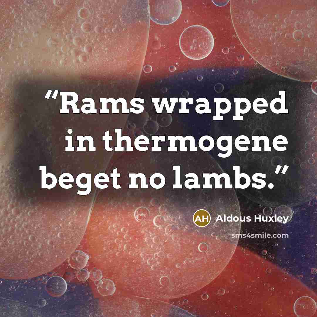 “Rams wrapped in thermogene beget no lambs.” quote by Aldous Huxley