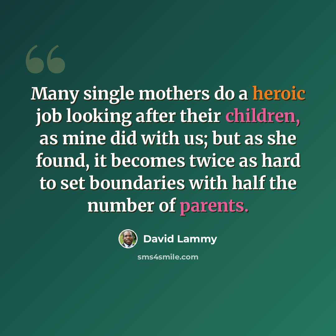 “Many single mothers do a heroic job looking after their children, as mine did with us; but as she found, it becomes twice as hard to set boundaries with half the number of parents.” quote by David Lammy