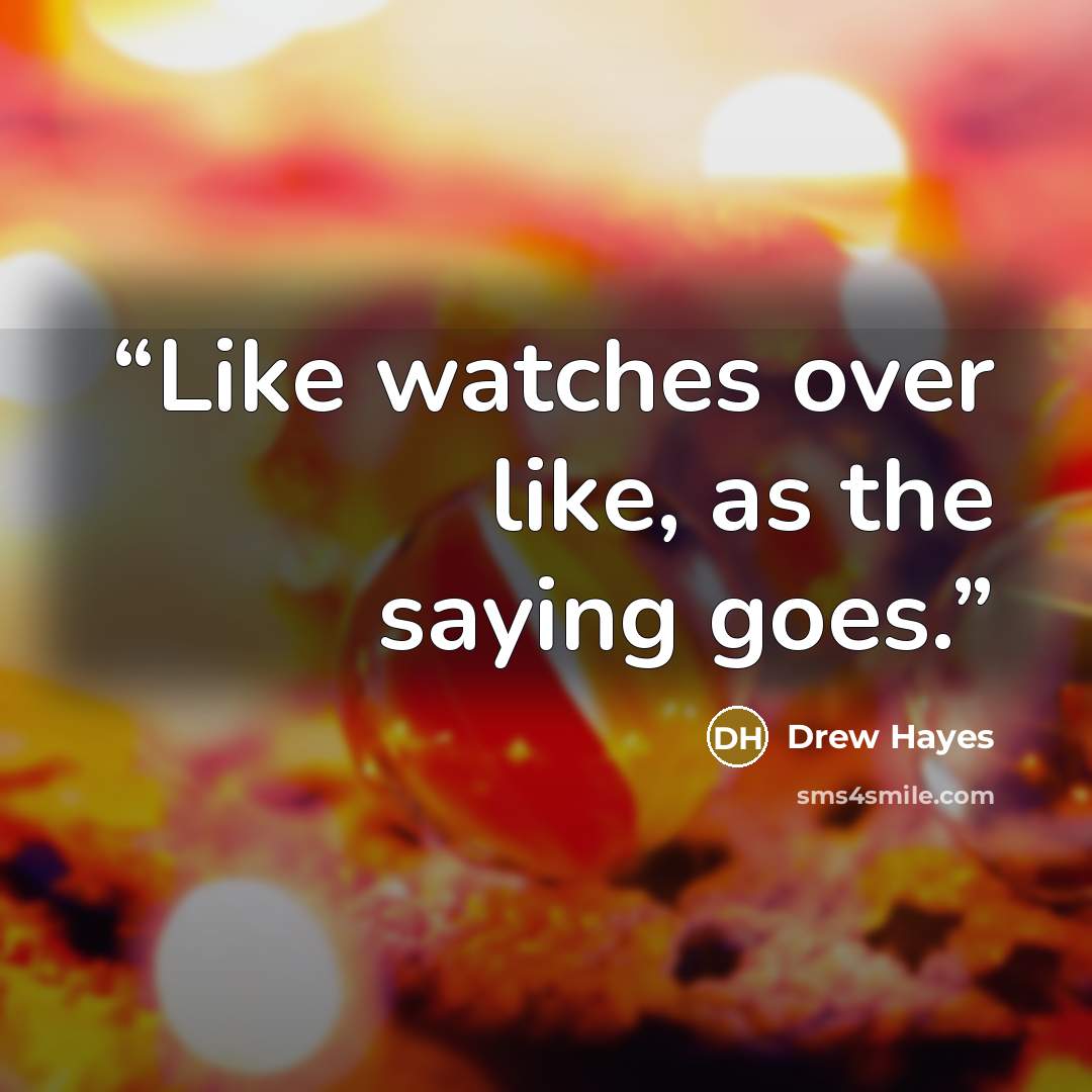 “Like watches over like, as the saying goes.” quote by Drew Hayes