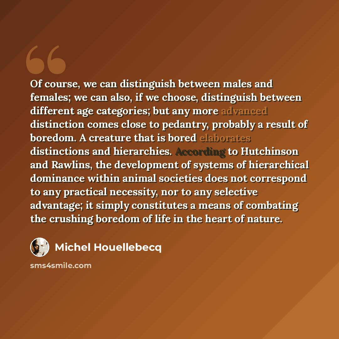 “Of course, we can distinguish between males and females; we can also, if we choose, distinguish between different age categories; but any more advanced distinction comes close to pedantry, probably a result of boredom. A creature that is bored elaborates distinctions and hierarchies. According to…” quote by Michel Houellebecq