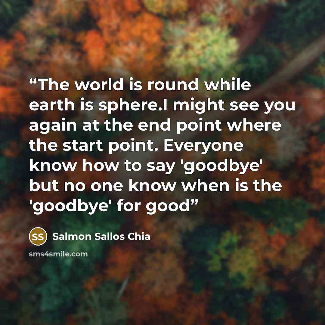 “The world is round while earth is sphere.I might see you again at the end point where the start point. Everyone know how to say 'goodbye' but no one know when is the 'goodbye' for good” quote by Salmon Sallos CHia