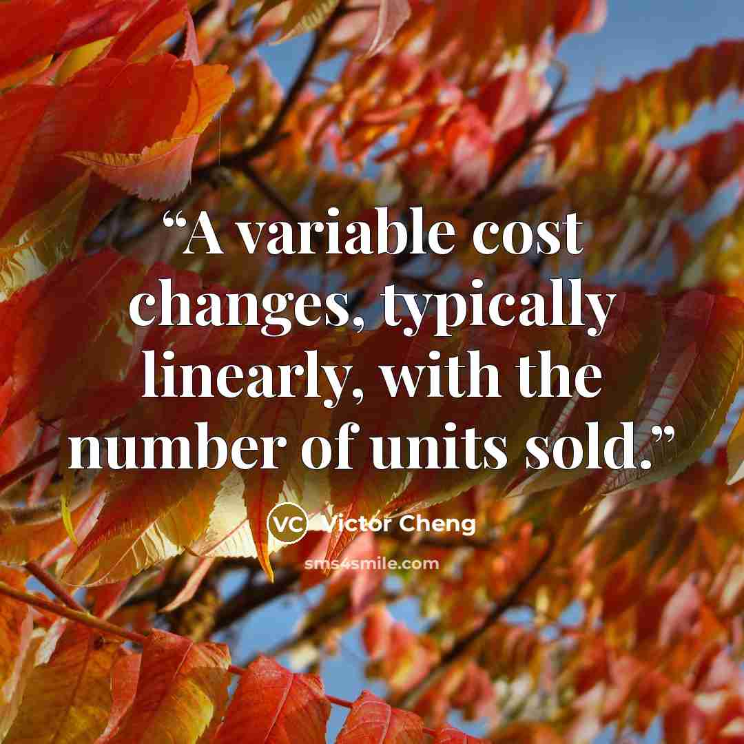 “A variable cost changes, typically linearly, with the number of units sold.” quote by Victor Cheng