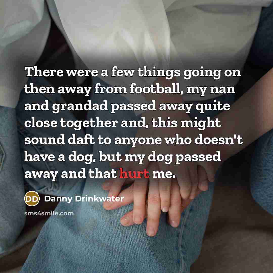 “There were a few things going on then away from football, my nan and grandad passed away quite close together and, this might sound daft to anyone who doesn't have a dog, but my dog passed away and that hurt me.” quote by Danny Drinkwater