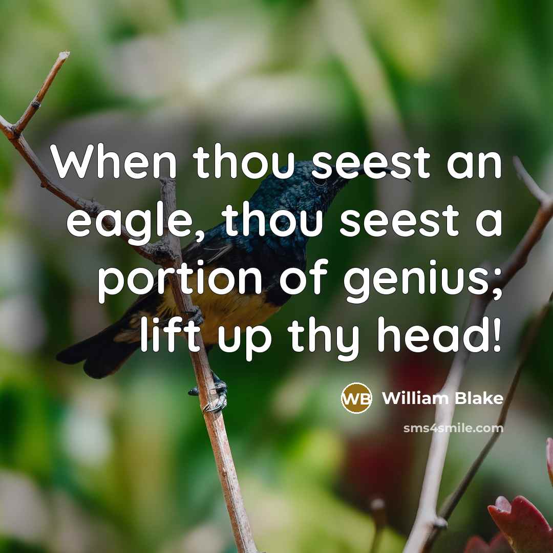 “When thou seest an eagle, thou seest a portion of genius; lift up thy head!” quote by William Blake