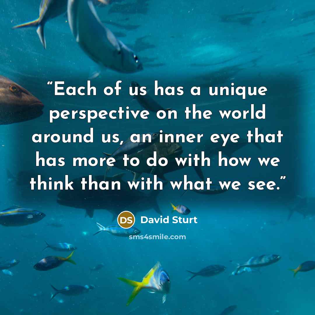 “Each of us has a unique perspective on the world around us, an inner eye that has more to do with how we think than with what we see.” quote by David Sturt