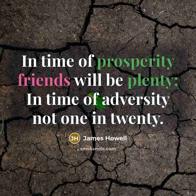“In time of prosperity friends will be plenty; In time of adversity not one in twenty.” quote by James Howell