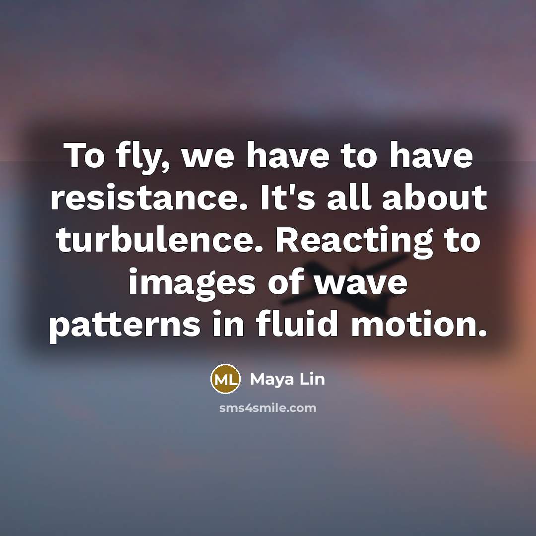 “To fly, we have to have resistance. It's all about turbulence. Reacting to images of wave patterns in fluid motion.” quote by Maya Lin
