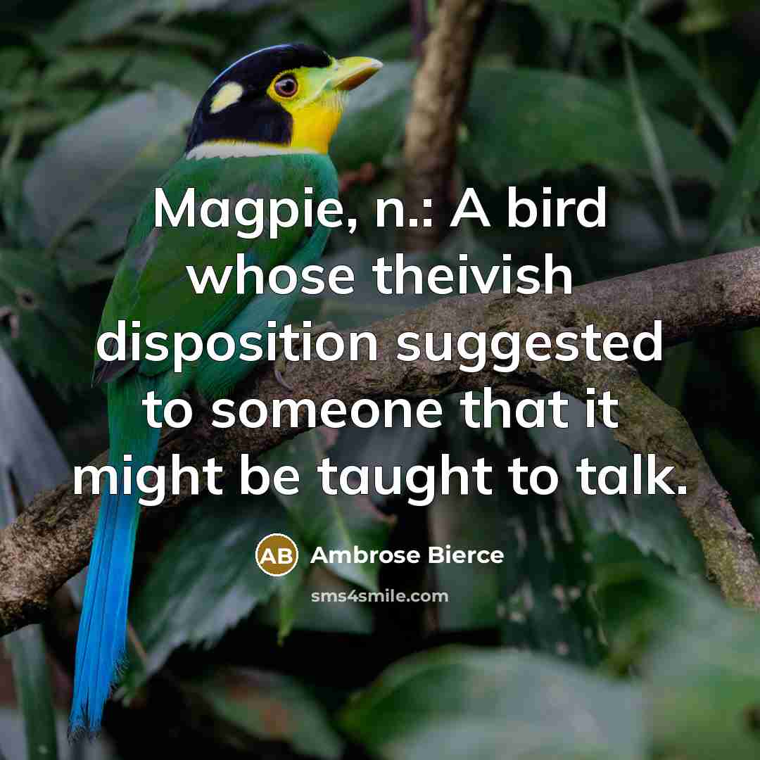 “Magpie, n.: A bird whose theivish disposition suggested to someone that it might be taught to talk.” quote by Ambrose Bierce