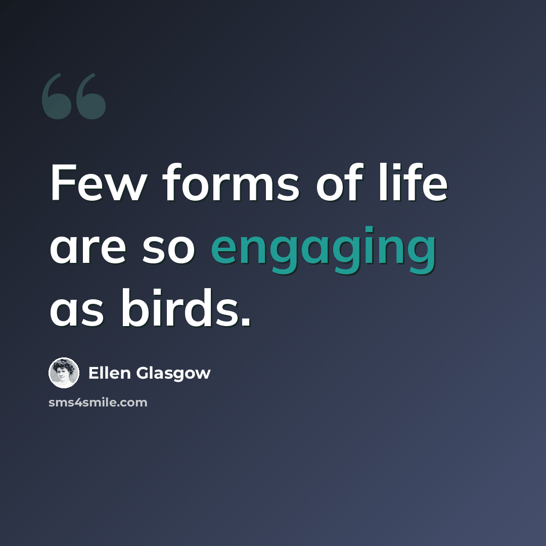 “Few forms of life are so engaging as birds.” quote by Ellen Glasgow