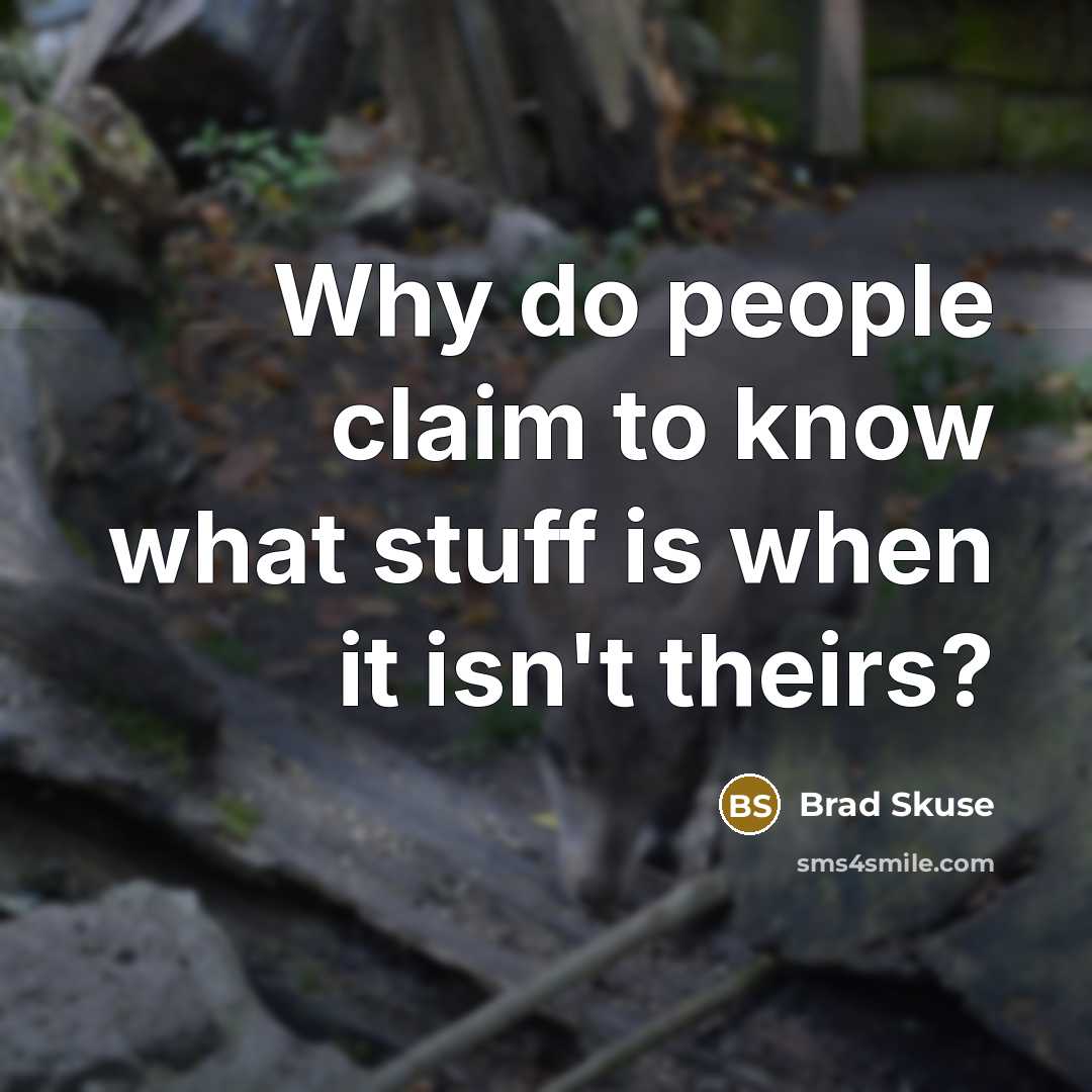 “Why do people claim to know what stuff is when it isn't theirs?” quote by Brad Skuse