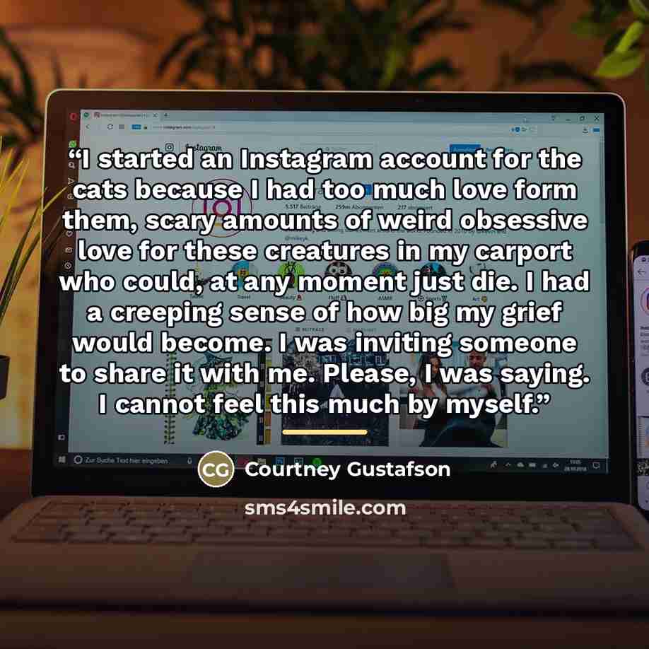 “I started an Instagram account for the cats because I had too much love form them, scary amounts of weird obsessive love for these creatures in my carport who could, at any moment just die. I had a creeping sense of how big my grief would become. I was inviting someone to share it with me. Please…” quote by Courtney Gustafson