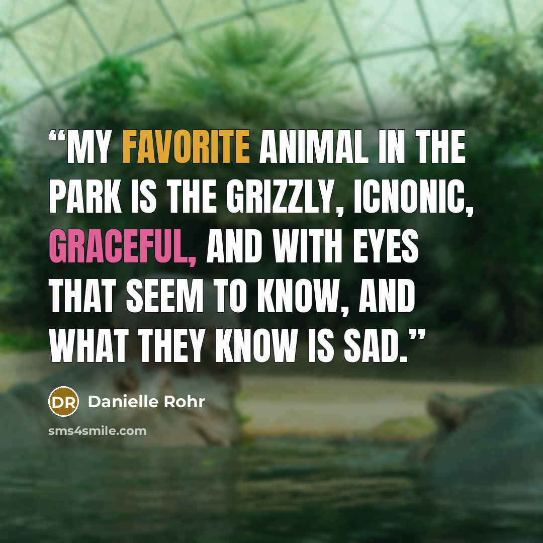 “My favorite animal in the park is the grizzly, icnonic, graceful, and with eyes that seem to know, and what they know is sad.” quote by Danielle Rohr