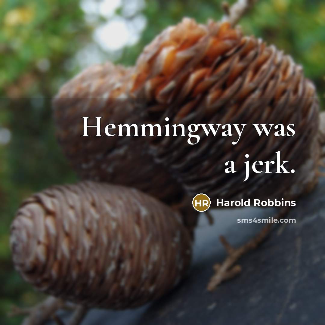 “Hemmingway was a jerk.” quote by Harold Robbins