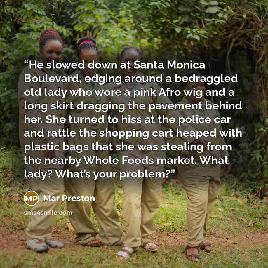 “He slowed down at Santa Monica Boulevard, edging around a bedraggled old lady who wore a pink Afro wig and a long skirt dragging the pavement behind her. She turned to hiss at the police car and rattle the shopping cart heaped with plastic bags that she was stealing from the nearby Whole Foods…” quote by Mar Preston
