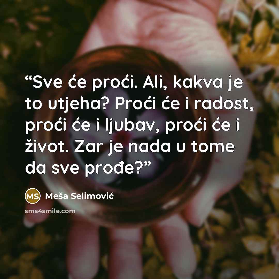 “Sve će proći. Ali, kakva je to utjeha? Proći će i radost, proći će i ljubav, proći će i život. Zar je nada u tome da sve prođe?” quote by Mesa Selimovic