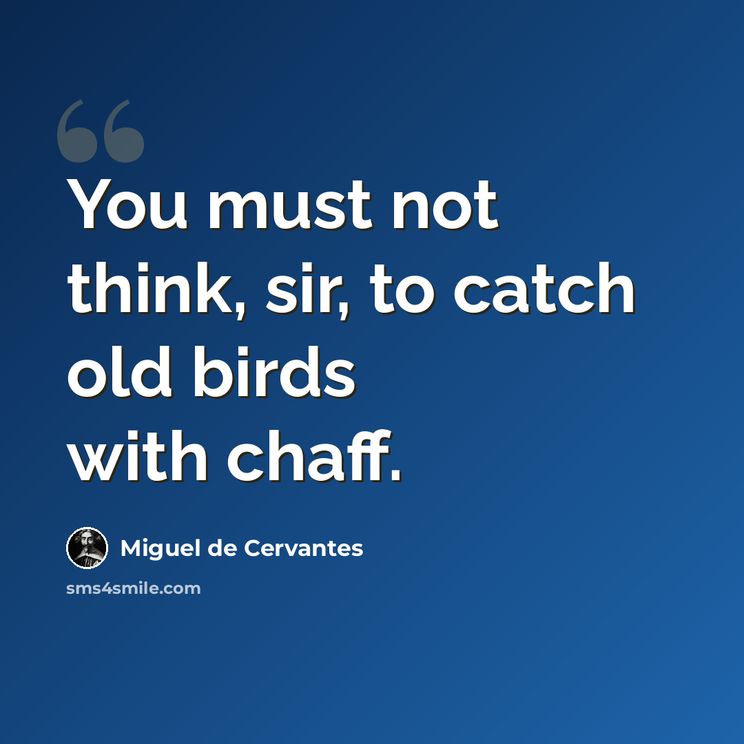 “You must not think, sir, to catch old birds with chaff.” quote by Miguel de Cervantes