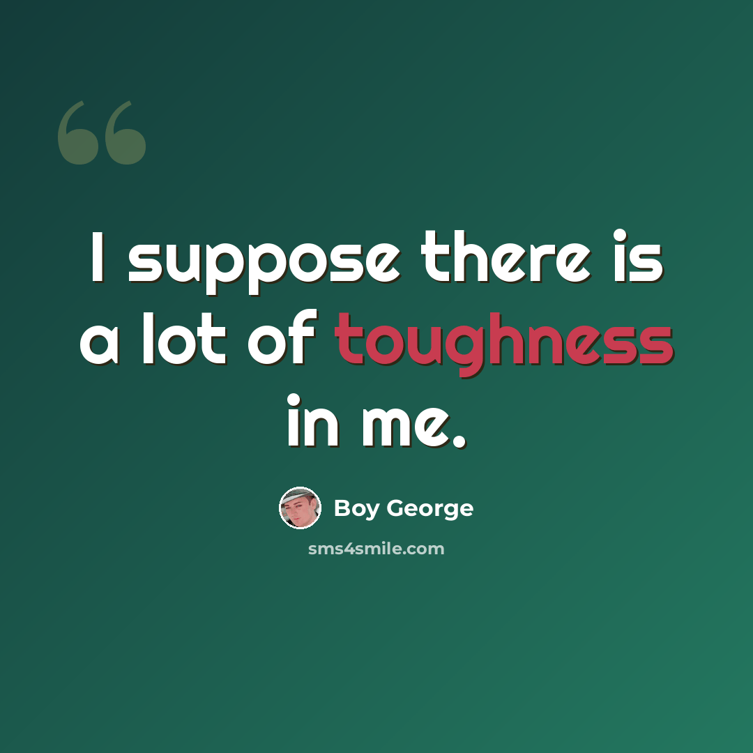 “I suppose there is a lot of toughness in me.” quote by Boy George