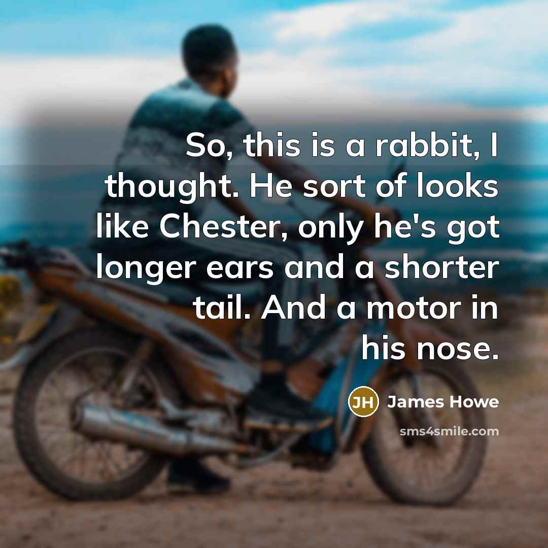 “So, this is a rabbit, I thought. He sort of looks like Chester, only he's got longer ears and a shorter tail. And a motor in his nose.” quote by James Howe