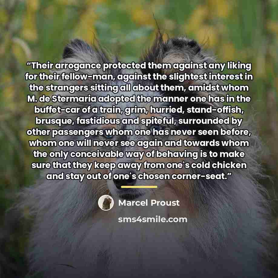 “Their arrogance protected them against any liking for their fellow-man, against the slightest interest in the strangers sitting all about them, amidst whom M. de Stermaria adopted the manner one has in the buffet-car of a train, grim, hurried, stand-offish, brusque, fastidious and spiteful…” quote by Marcel Proust