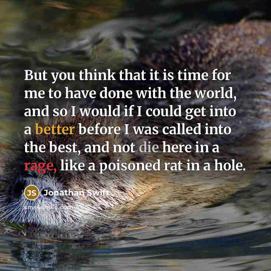“But you think that it is time for me to have done with the world, and so I would if I could get into a better before I was called into the best, and not die here in a rage, like a poisoned rat in a hole.” quote by Jonathan Swift