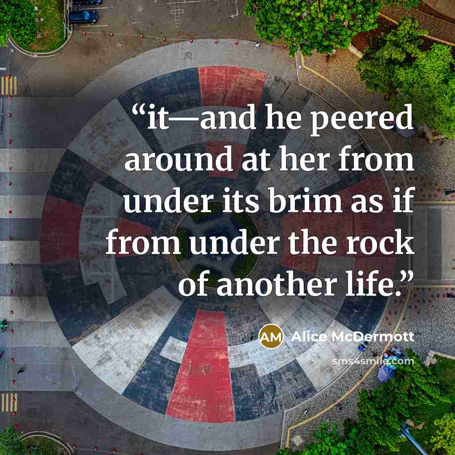“it—and he peered around at her from under its brim as if from under the rock of another life.” quote by Alice McDermott
