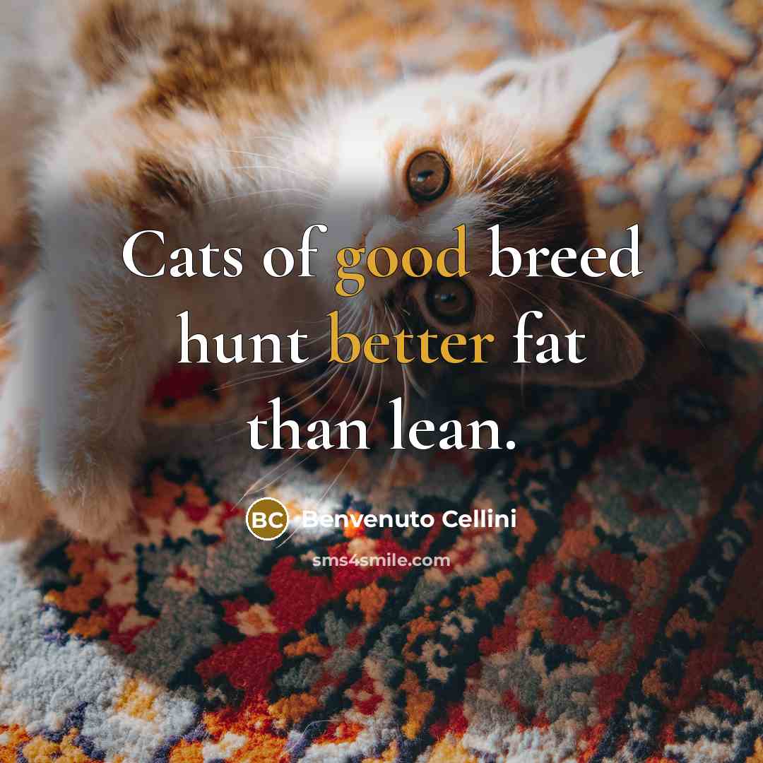 “Cats of good breed hunt better fat than lean.” quote by Benvenuto Cellini