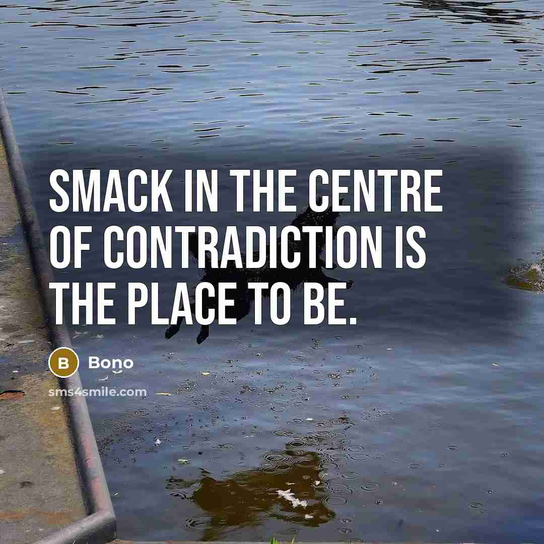 “Smack in the centre of contradiction is the place to be.” quote by Bono