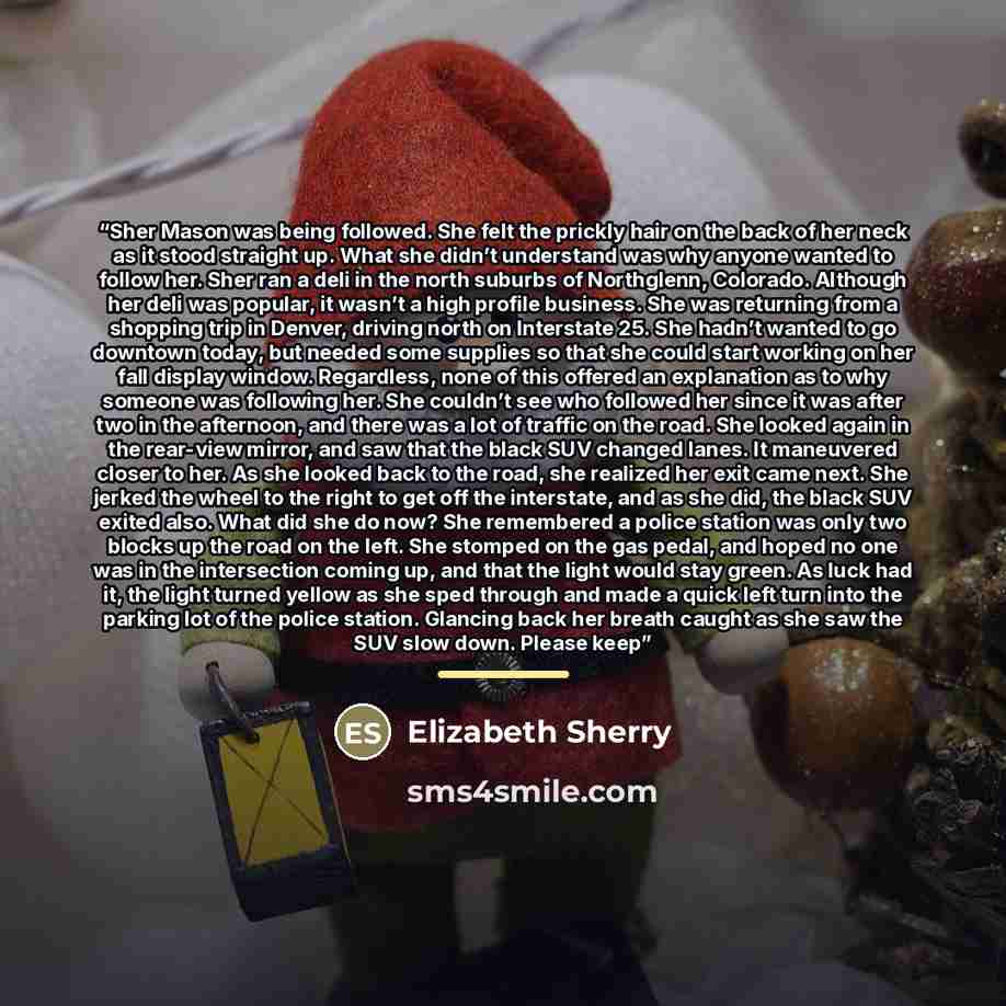 “Sher Mason was being followed. She felt the prickly hair on the back of her neck as it stood straight up. What she didn’t understand was why anyone wanted to follow her. Sher ran a deli in the north suburbs of Northglenn, Colorado. Although her deli was popular, it wasn’t a high profile business…” quote by Elizabeth Sherry