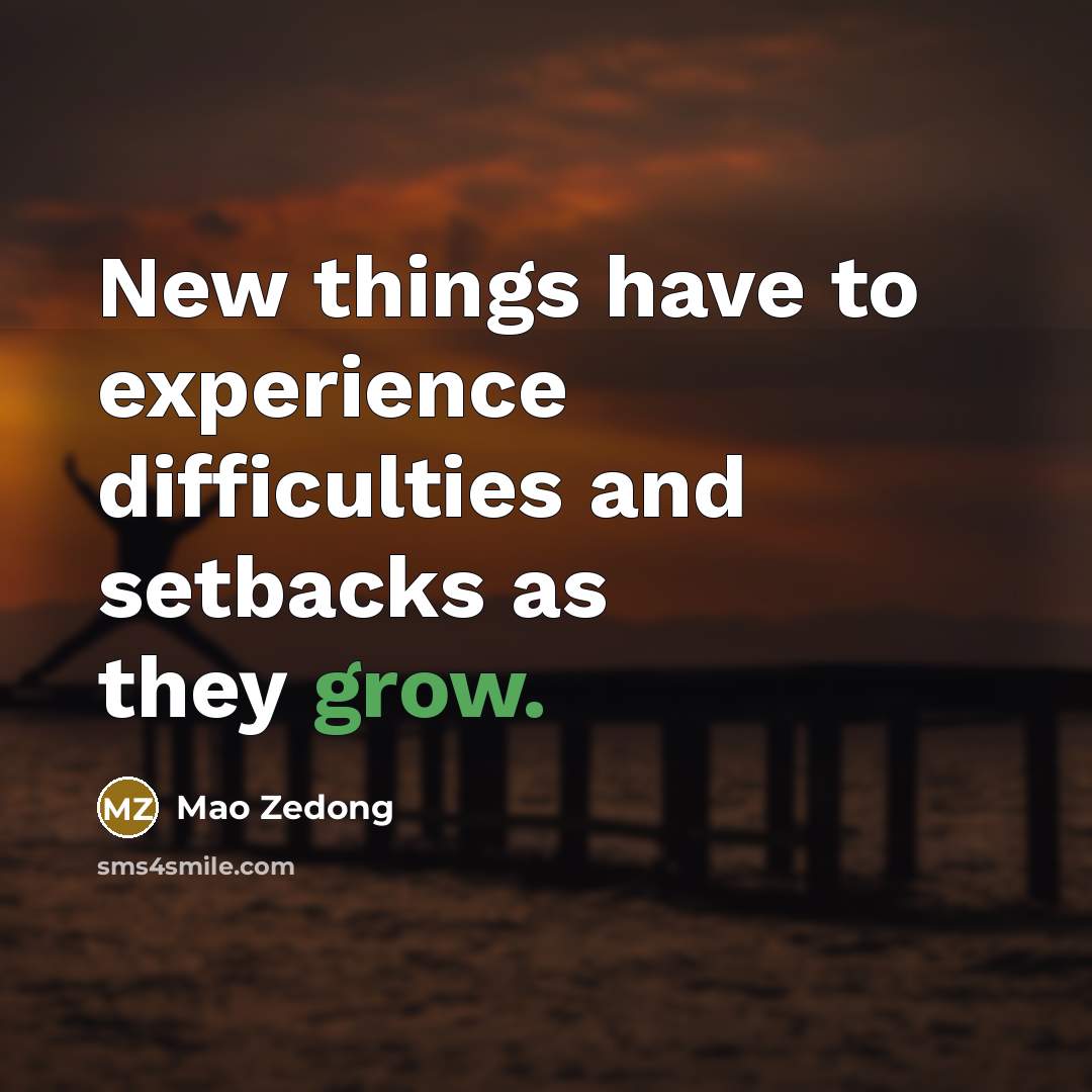 “New things have to experience difficulties and setbacks as they grow.” quote by Mao Zedong