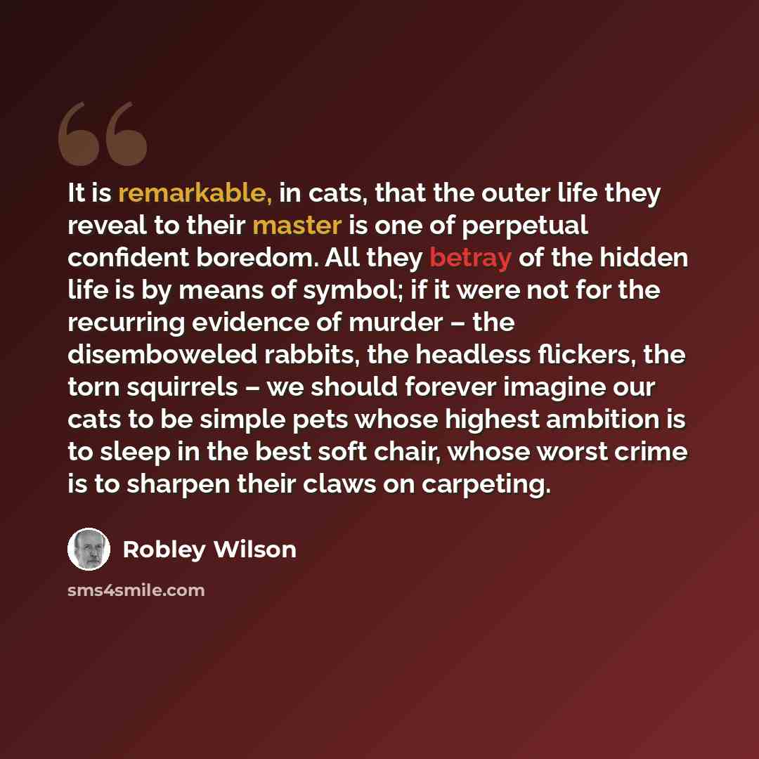 “It is remarkable, in cats, that the outer life they reveal to their master is one of perpetual confident boredom. All they betray of the hidden life is by means of symbol; if it were not for the recurring evidence of murder – the disemboweled rabbits, the headless flickers, the torn squirrels – we…” quote by Robley Wilson