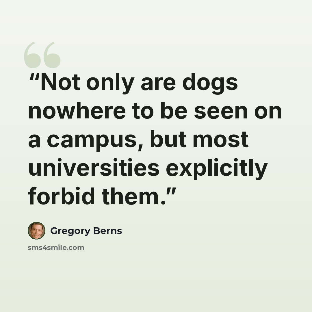“Not only are dogs nowhere to be seen on a campus, but most universities explicitly forbid them.” quote by Gregory Berns