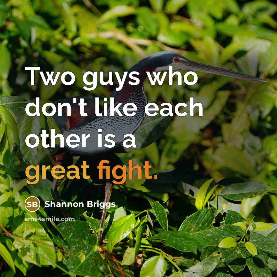 “Two guys who don't like each other is a great fight.” quote by Shannon Briggs