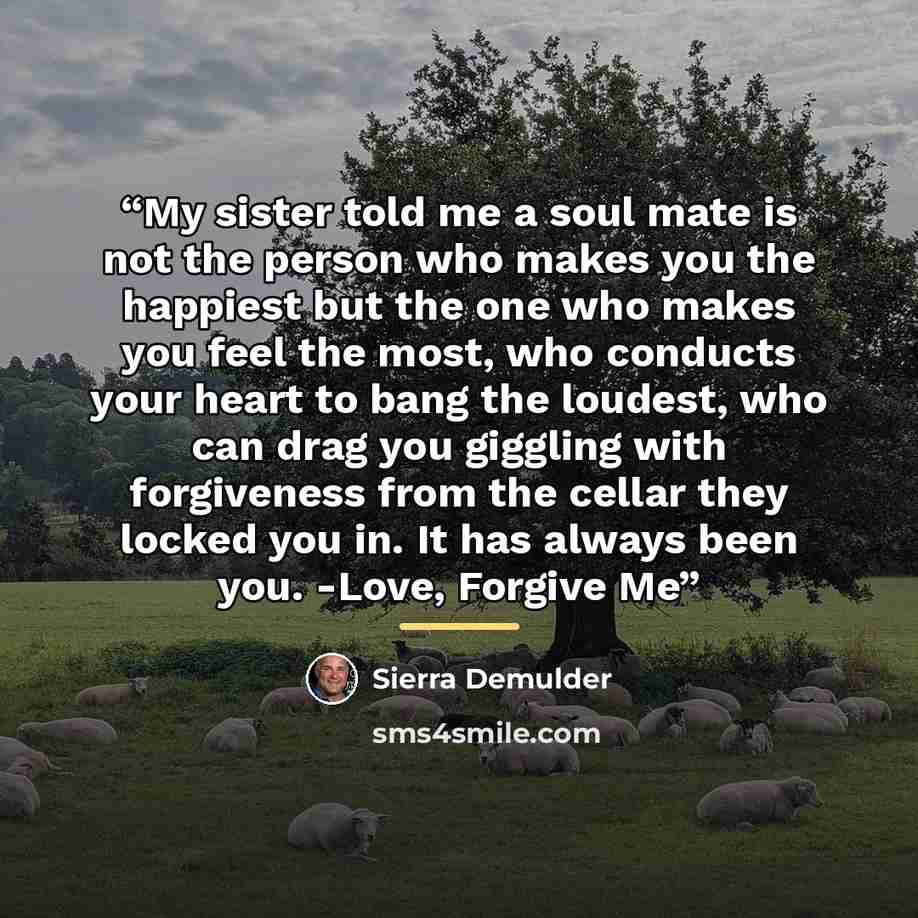 “My sister told me a soul mate is not the person who makes you the happiest but the one who makes you feel the most, who conducts your heart to bang the loudest, who can drag you giggling with forgiveness from the cellar they locked you in. It has always been you. -Love, Forgive Me” quote by Sierra Demulder