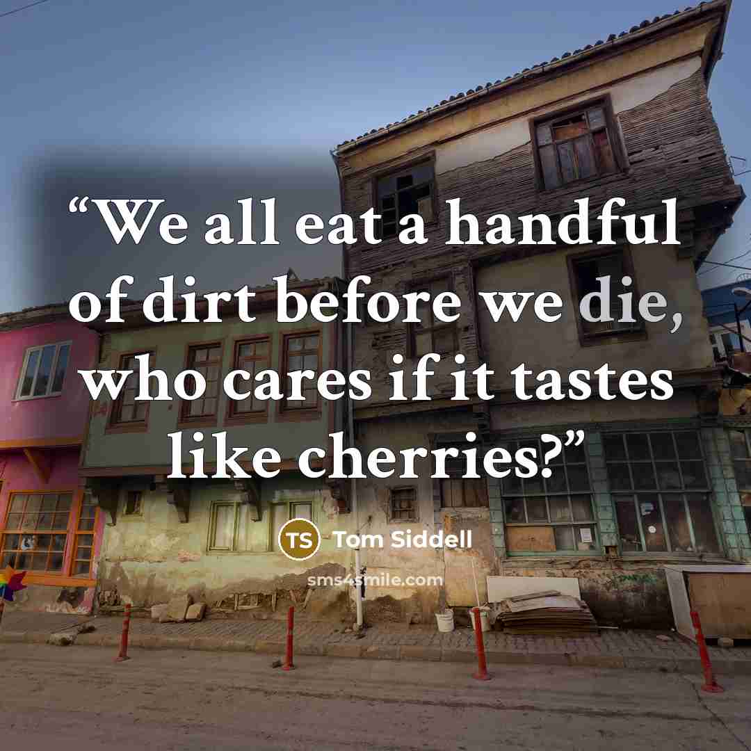 “We all eat a handful of dirt before we die, who cares if it tastes like cherries?” quote by Tom Siddell