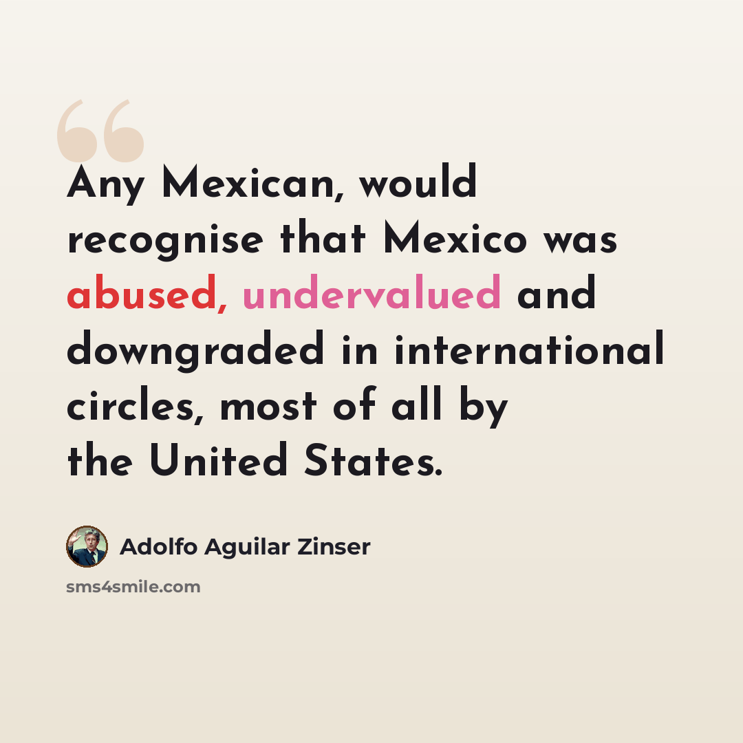 “Any Mexican, would recognise that Mexico was abused, undervalued and downgraded in international circles, most of all by the United States.” quote by Adolfo Aguilar Zinser
