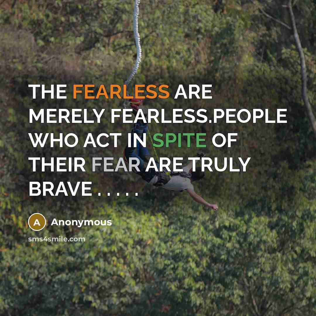“THE FEARLESS ARE MERELY FEARLESS.PEOPLE WHO ACT IN SPITE OF THEIR FEAR ARE TRULY BRAVE . . . . .” quote by Anonymous