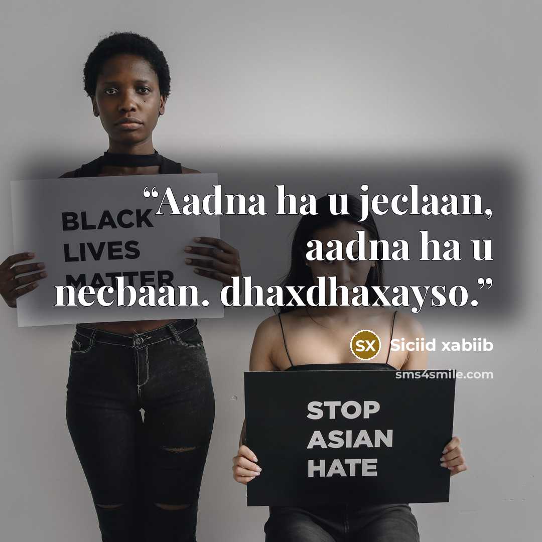 “Aadna ha u jeclaan, aadna ha u necbaan. dhaxdhaxayso.” quote by siciid xabiib