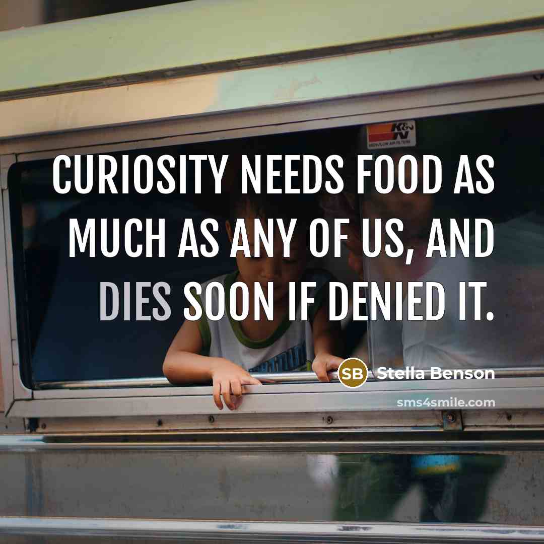 “Curiosity needs food as much as any of us, and dies soon if denied it.” quote by Stella Benson