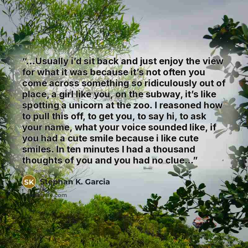“...Usually i’d sit back and just enjoy the view for what it was because it’s not often you come across something so ridiculously out of place, a girl like you, on the subway, it’s like spotting a unicorn at the zoo. I reasoned how to pull this off, to get you, to say hi, to ask your name, what…” quote by Stephan K. Garcia