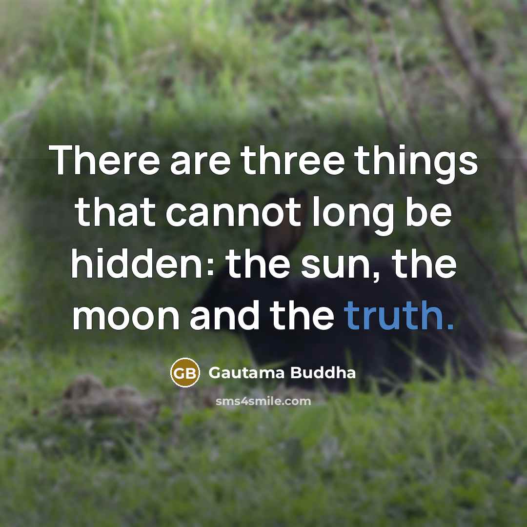 “There are three things that cannot long be hidden: the sun, the moon and the truth.” quote by Gautama Buddha