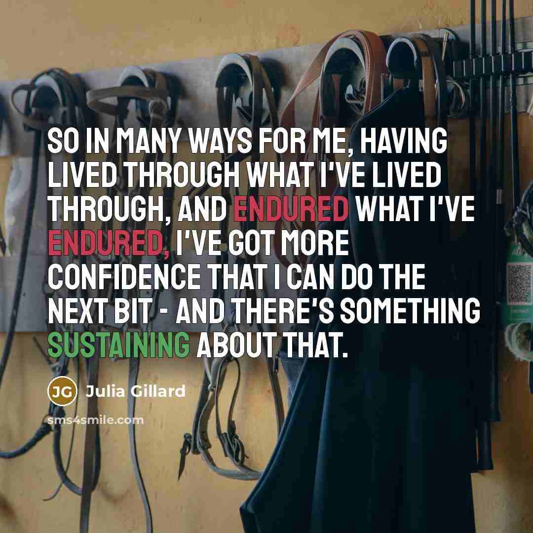 “So in many ways for me, having lived through what I've lived through, and endured what I've endured, I've got more confidence that I can do the next bit - and there's something sustaining about that.” quote by Julia Gillard