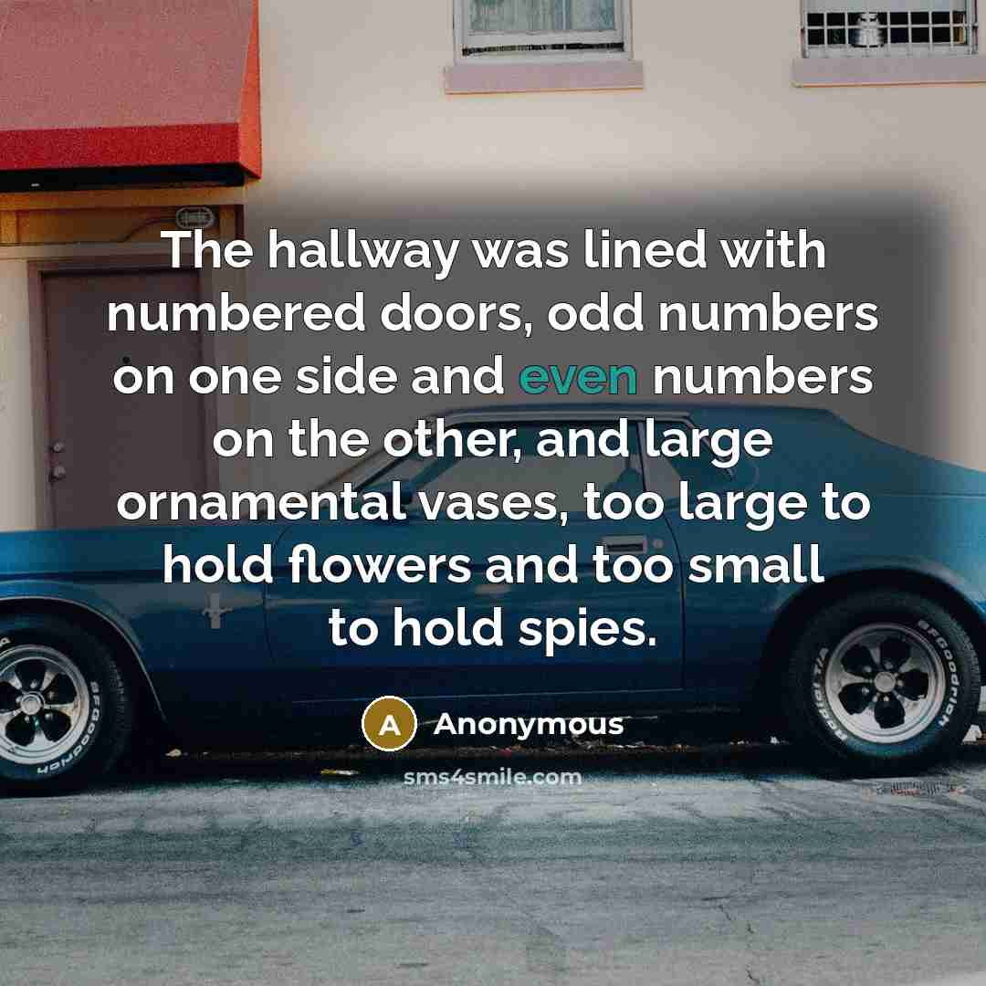 “The hallway was lined with numbered doors, odd numbers on one side and even numbers on the other, and large ornamental vases, too large to hold flowers and too small to hold spies.” quote by Anonymous