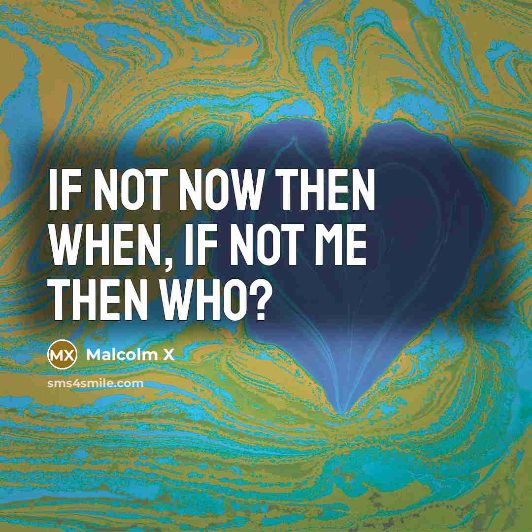 “If not now then when, if not me then who?” quote by Malcolm X