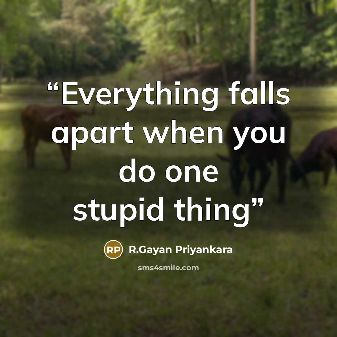 “Everything falls apart when you do one stupid thing” quote by R.Gayan Priyankara