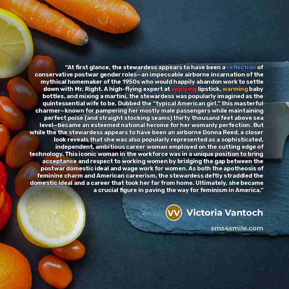 “At first glance, the stewardess appears to have been a reflection of conservative postwar gender roles—an impeccable airborne incarnation of the mythical homemaker of the 1950s who would happily abandon work to settle down with Mr. Right. A high-flying expert at applying lipstick, warming baby…” quote by Victoria Vantoch