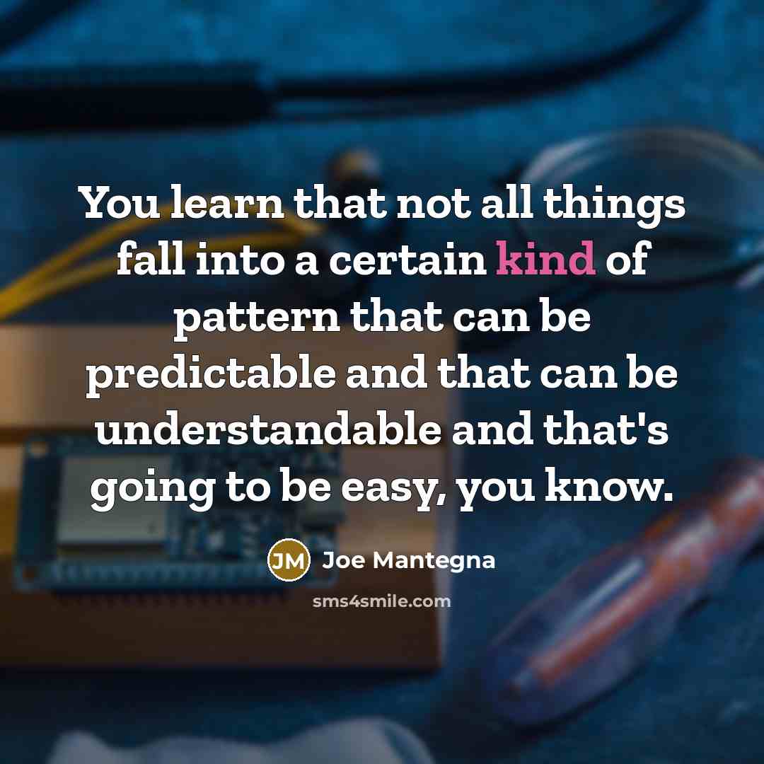 “You learn that not all things fall into a certain kind of pattern that can be predictable and that can be understandable and that's going to be easy, you know.” quote by Joe Mantegna