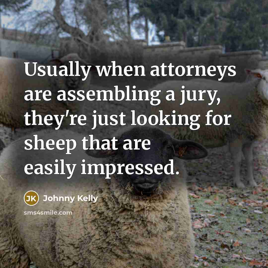 “Usually when attorneys are assembling a jury, they're just looking for sheep that are easily impressed.” quote by Johnny Kelly