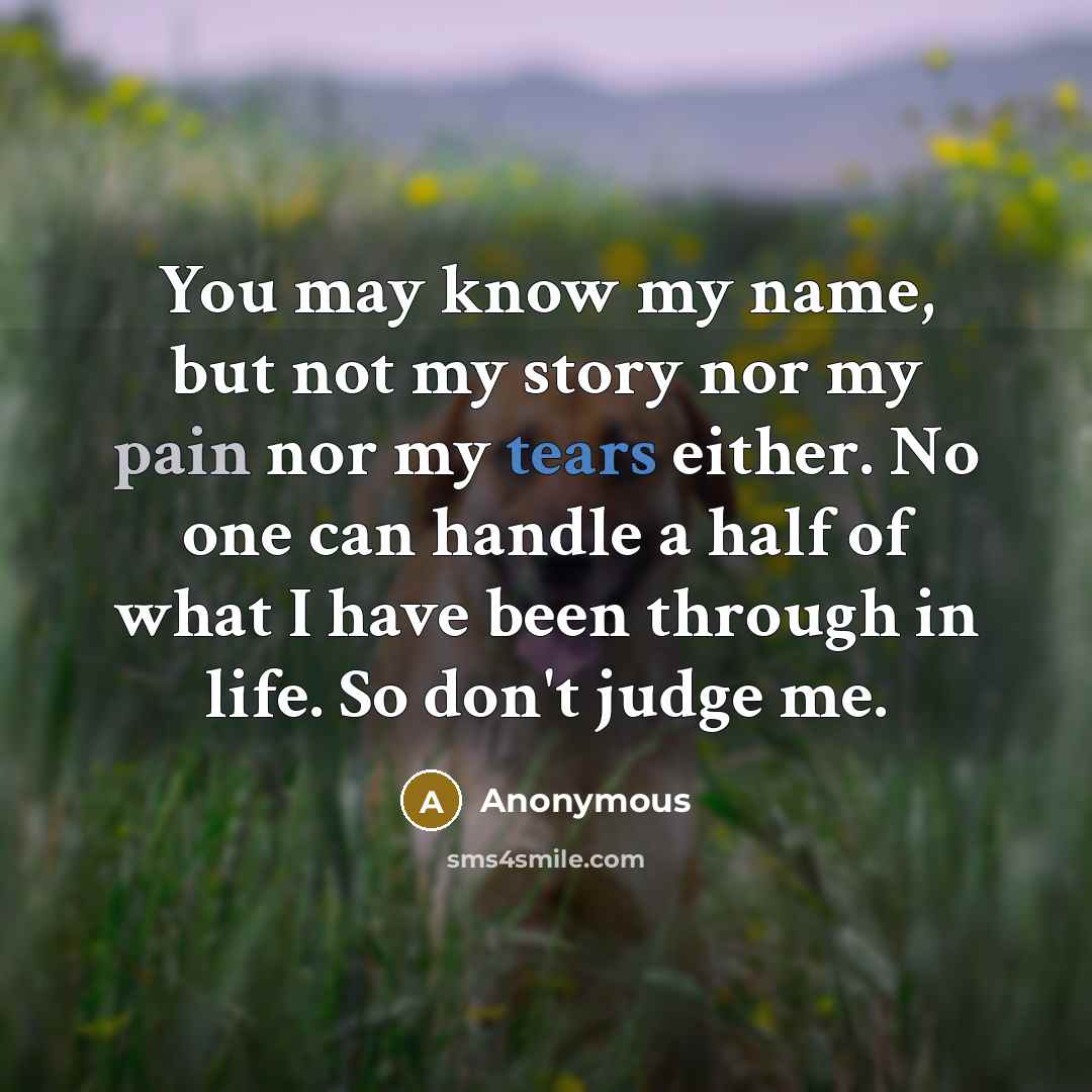 “You may know my name, but not my story nor my pain nor my tears either. No one can handle a half of what I have been through in life. So don't judge me.” quote by Anonymous