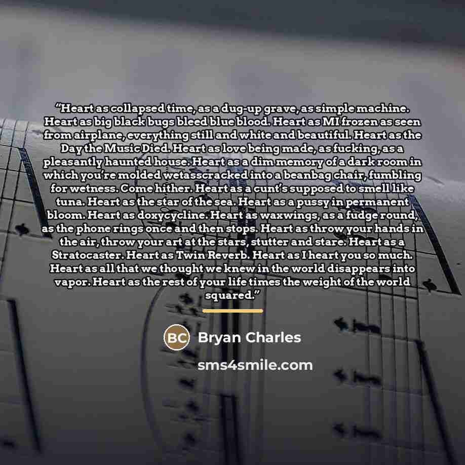 “Heart as collapsed time, as a dug-up grave, as simple machine. Heart as big black bugs bleed blue blood. Heart as MI frozen as seen from airplane, everything still and white and beautiful. Heart as the Day the Music Died. Heart as love being made, as fucking, as a pleasantly haunted house. Heart…” quote by Bryan Charles