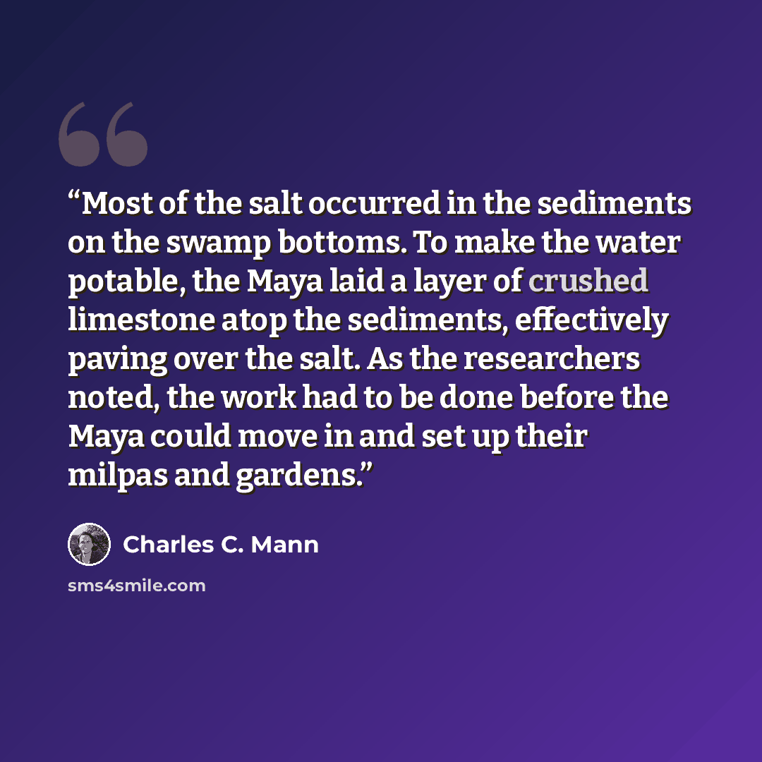 “Most of the salt occurred in the sediments on the swamp bottoms. To make the water potable, the Maya laid a layer of crushed limestone atop the sediments, effectively paving over the salt. As the researchers noted, the work had to be done before the Maya could move in and set up their milpas and…” quote by Charles C. Mann
